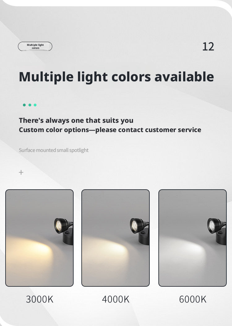 Freestanding LED Spotlight, Portable Display Light No Installation Needed, 360° Adjustable
