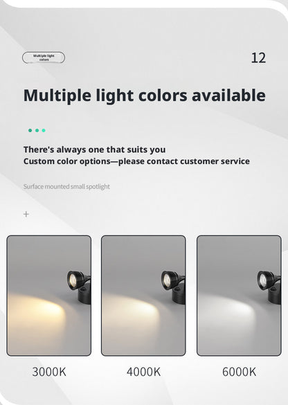 Freestanding LED Spotlight, Portable Display Light No Installation Needed, 360° Adjustable