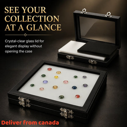 Coin & Gem Display Box, Glass Lid, PU Leather Case with Memory Foam