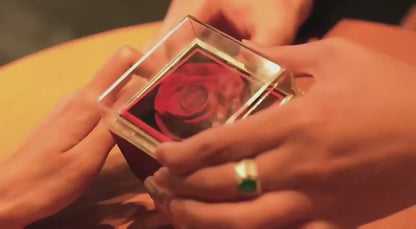Acrylic Rose Jewelry Box with Transparent Lid & Gold Clasp for Valentine's Day Gift